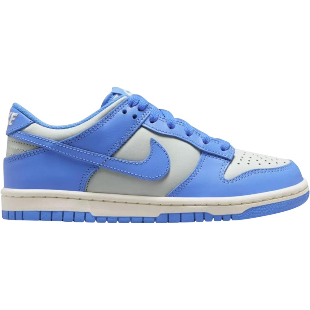 Nike Dunk Low Light Photo Blue GS Sneakers

